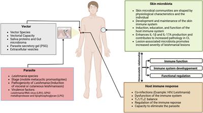 Clinical and immunological spectra of human cutaneous leishmaniasis in North Africa and French Guiana